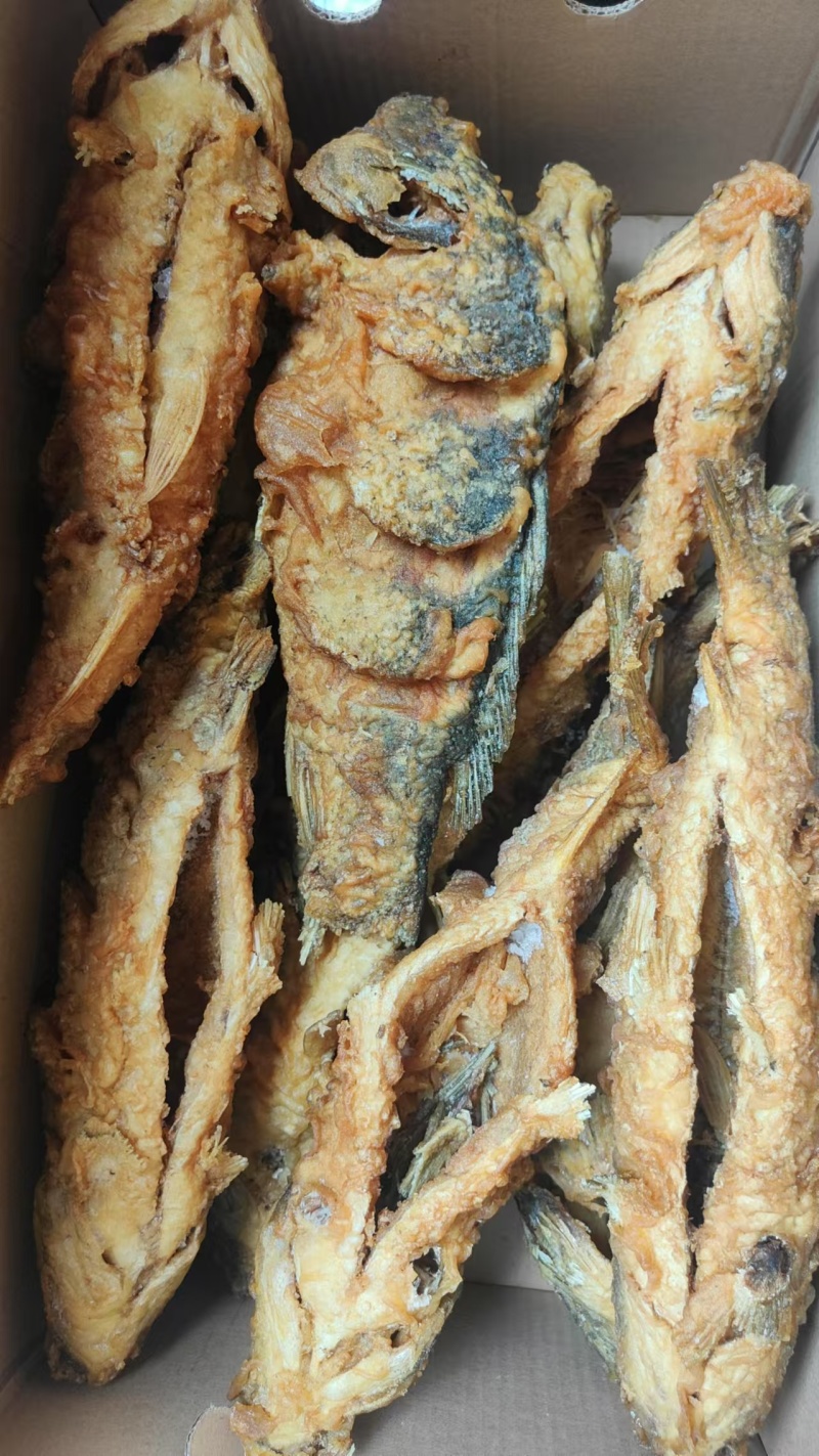 油炸黄河大鲤鱼20条