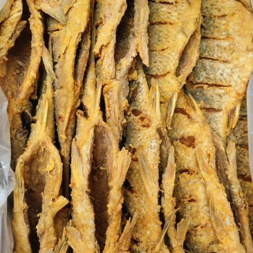 油炸黄河大鲤鱼20条