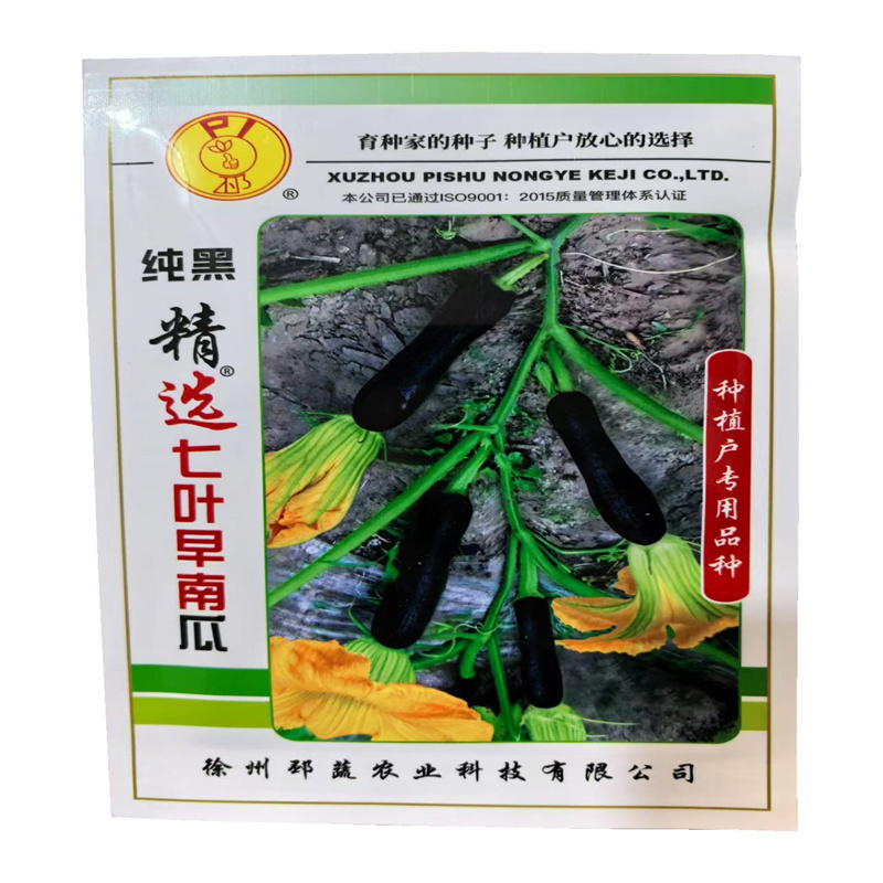 纯黑精选七叶早南瓜种子早熟瓜皮墨绿菜南瓜种子