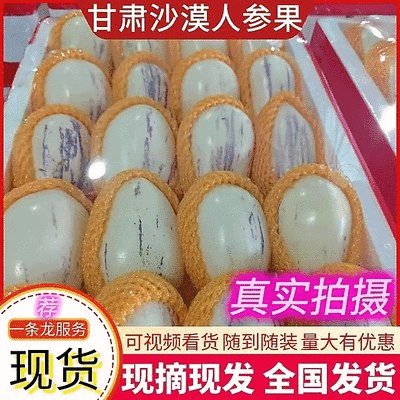 甘肃民勤人参果沙漠人参果货源充足量大从优质量保证欢迎咨询