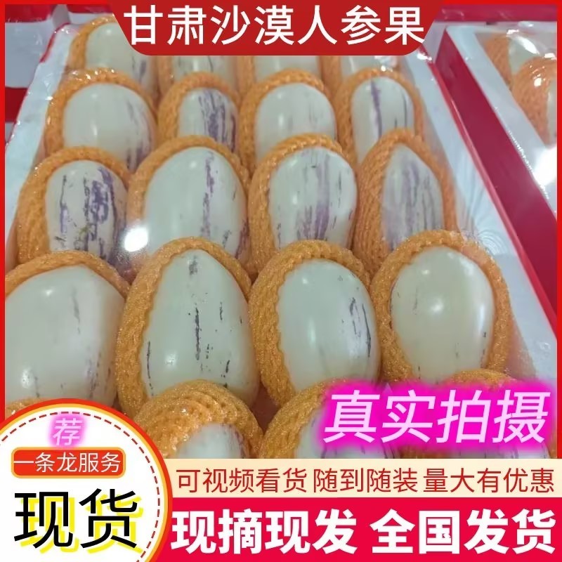 甘肃民勤人参果沙漠人参果货源充足量大从优质量保证欢迎咨询