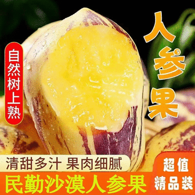 甘肃人参果民勤沙漠人参果基地直供现货随装量大从优