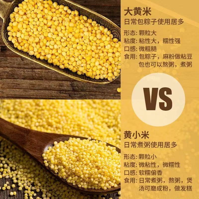 大黄米保质保量产地直发一手货源量大价优对接全国客商欢迎致