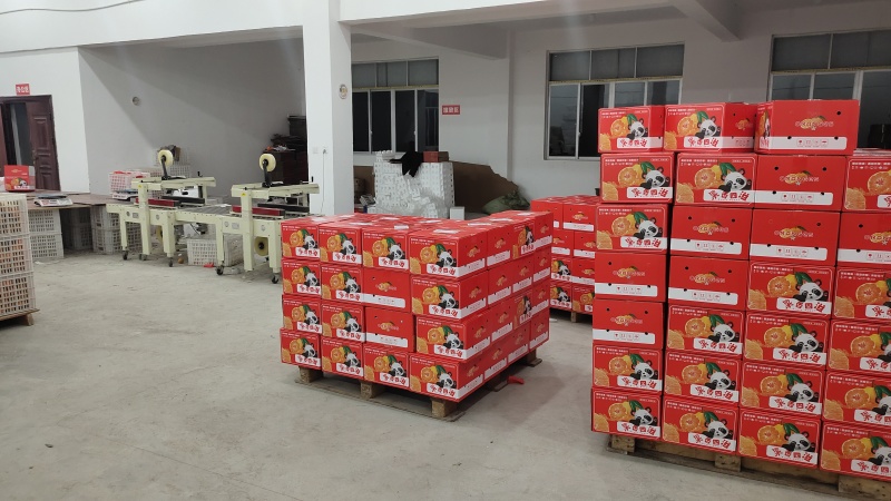 四川资中丑橘不知火，产地一手货源，品质保证，诚信经营