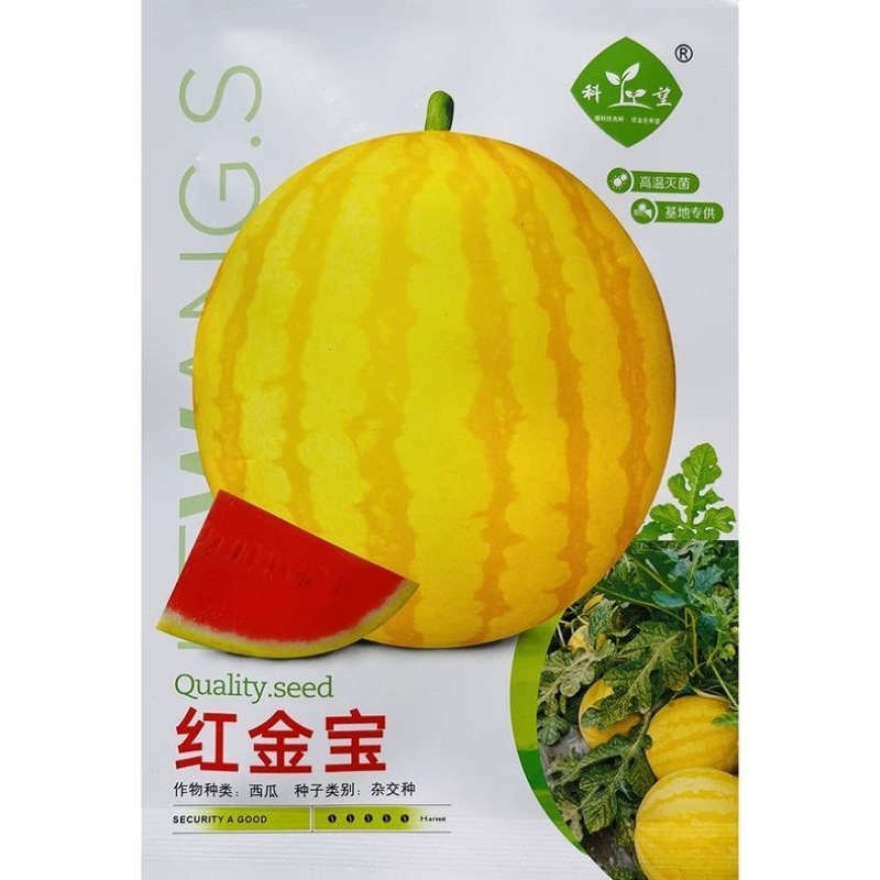 红金宝西瓜种子黄皮红肉西瓜种子早熟品种大红瓤