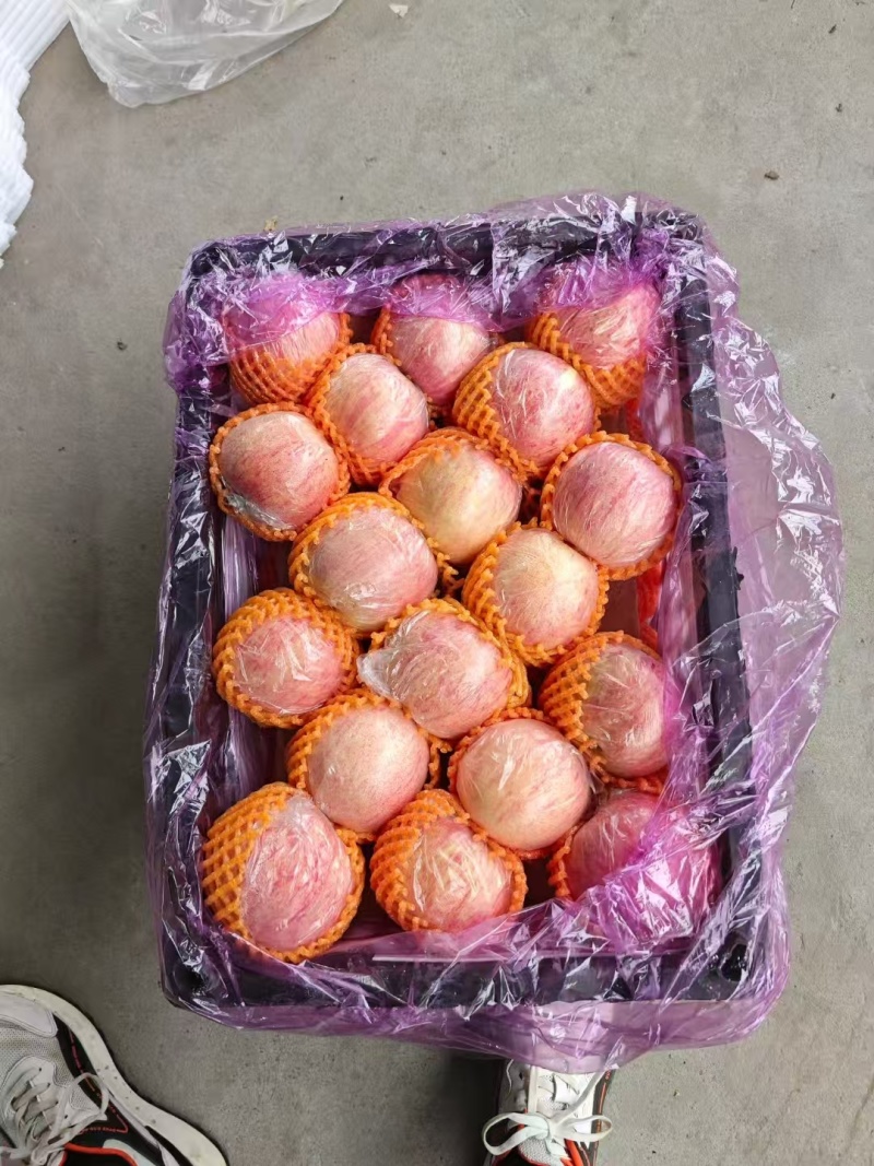 陕西纯纸袋红富士苹果，保质保量欢迎选购