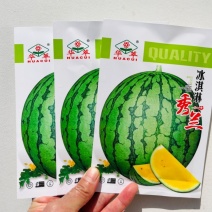 冰淇淋秀兰西瓜种子早熟黄瓤小礼品西瓜种子酥脆爽口