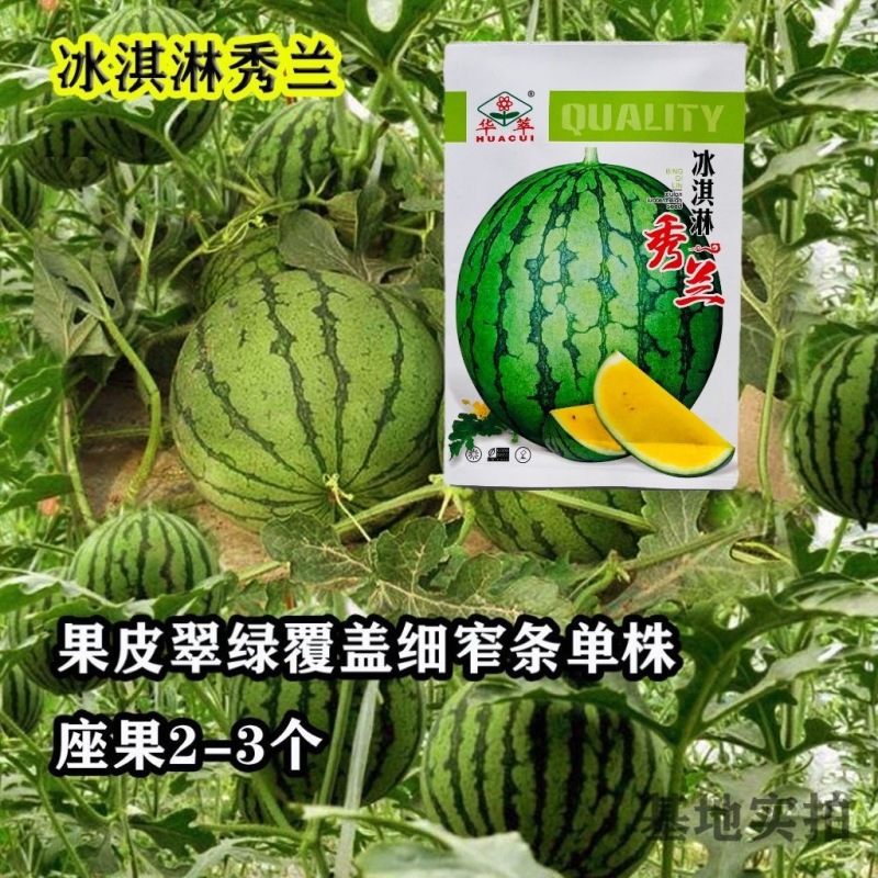 冰淇淋秀兰西瓜种子早熟黄瓤小礼品西瓜种子酥脆爽口