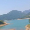 杨振的一亩田店铺