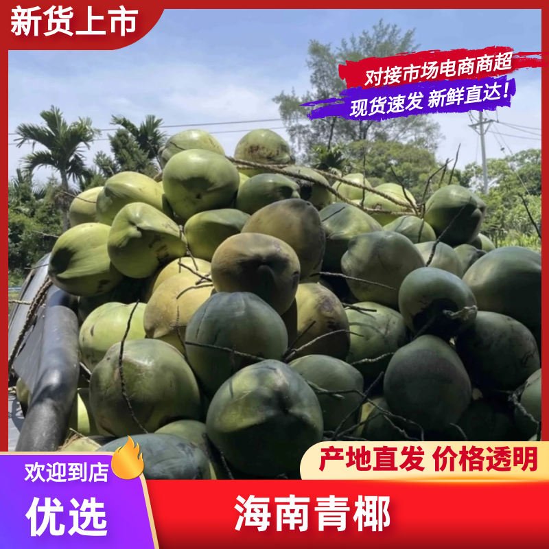 椰青批发自家果园量大价格可谈欢迎联系可代办