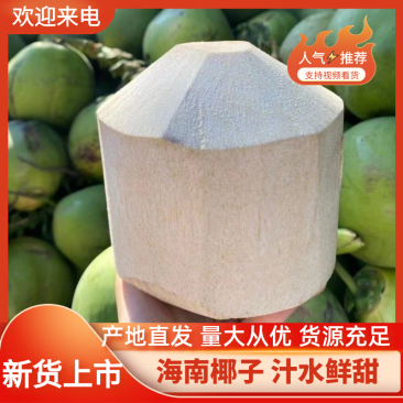 海南椰子青椰汁水鲜甜个头饱满产地现发对接全国