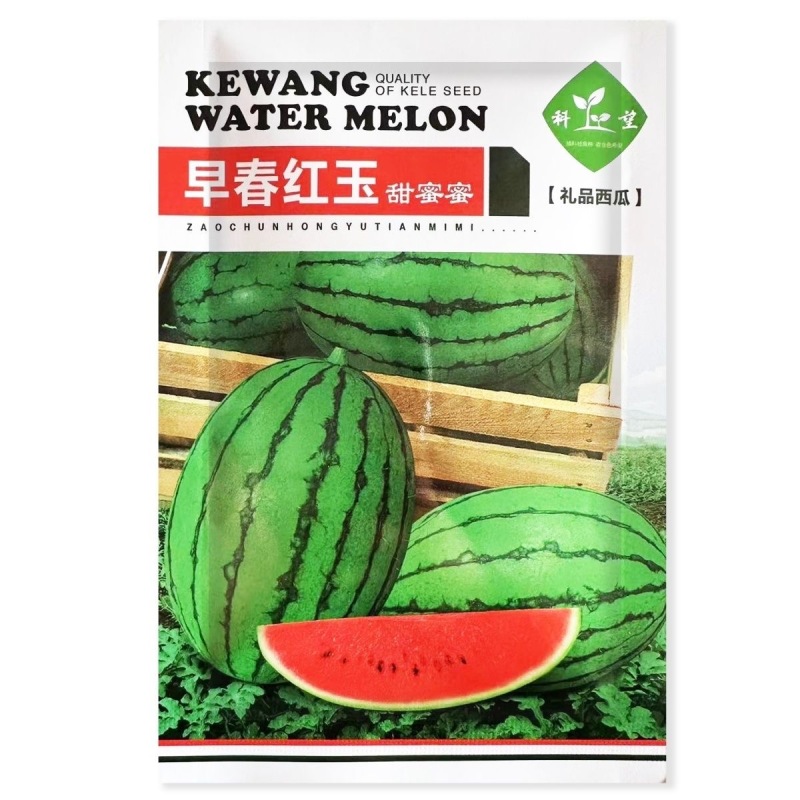 早春红玉礼品西瓜种子抗病皮薄有韧性果肉红色