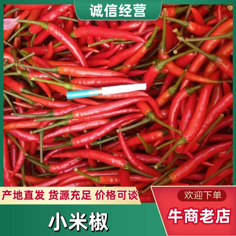 【口碑好货】多年基地种植精品小米椒放心品质可全国发货