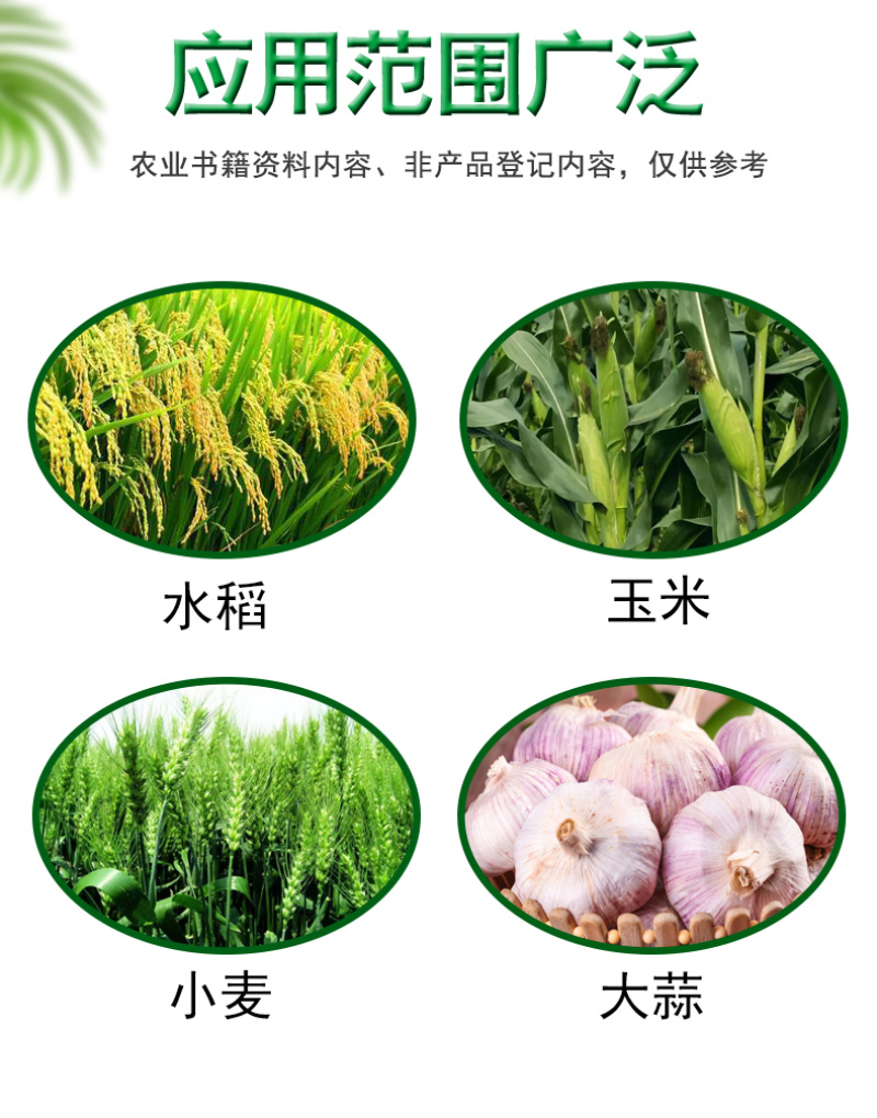 正品75肟菌戊唑醇水稻小麦赤霉病纹枯病稻曲病专用杀菌剂整