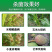 正品75肟菌戊唑醇水稻小麦赤霉病纹枯病稻曲病专用杀菌剂整