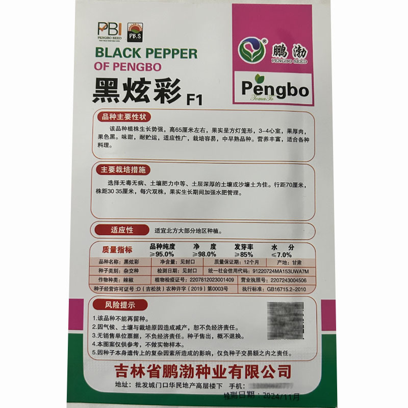 黑炫彩黑紫色辣椒种子中早熟方形灯笼椒菜园园艺种植