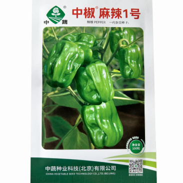 中蔬麻椒1号种子皱皮椒虎皮泡椒籽香麻辣灯笼椒基地