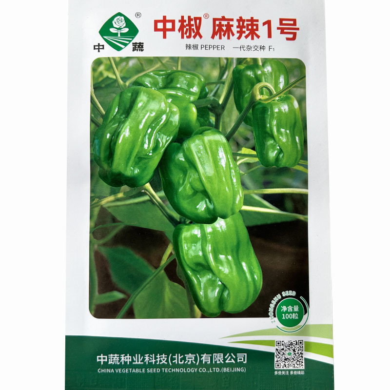 中蔬麻椒1号种子皱皮椒虎皮泡椒籽香麻辣灯笼椒基地