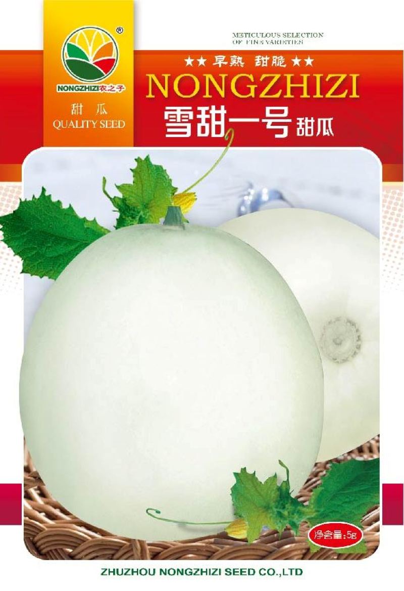 雪甜一号二号白皮早熟甜瓜大果梨瓜种子高产抗病产量高春夏