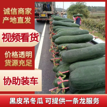 精品黑皮冬瓜，货量充足，产地直发，欢迎客商来电咨询