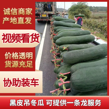 精品黑皮冬瓜，货量充足，产地直发，欢迎客商来电咨询
