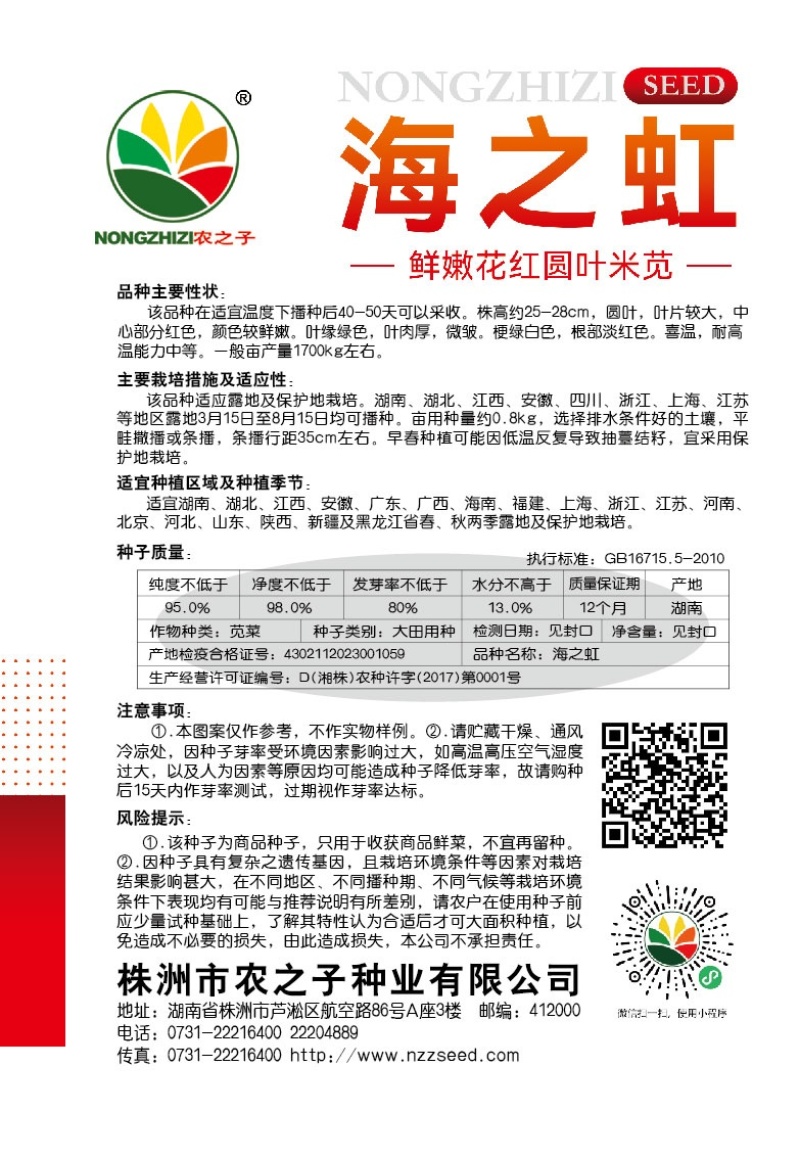 海之虹鲜嫩花红圆叶米苋