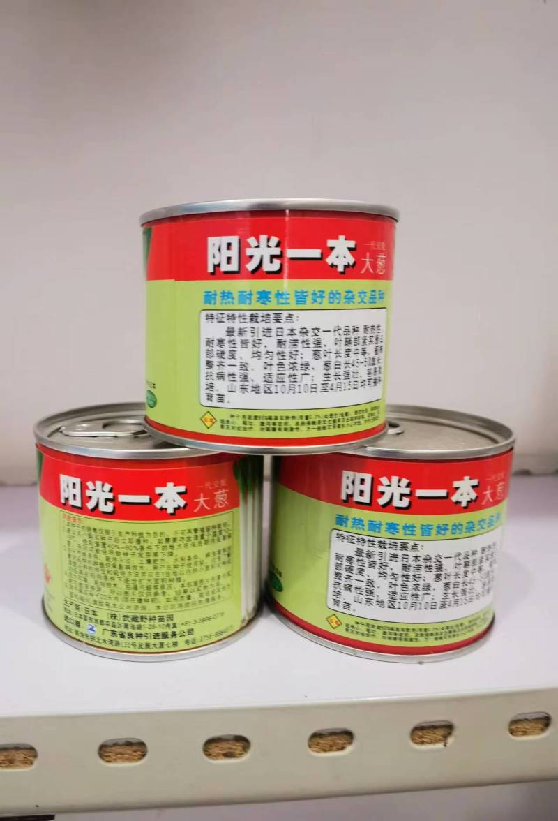 铁杆葱籽，大葱种子，香葱种子，钢葱种子，葱种子，葱种