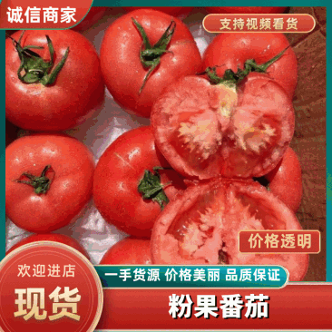 【一件代发】精选粉果大西红柿粉果番茄3斤5斤欢迎老板采购