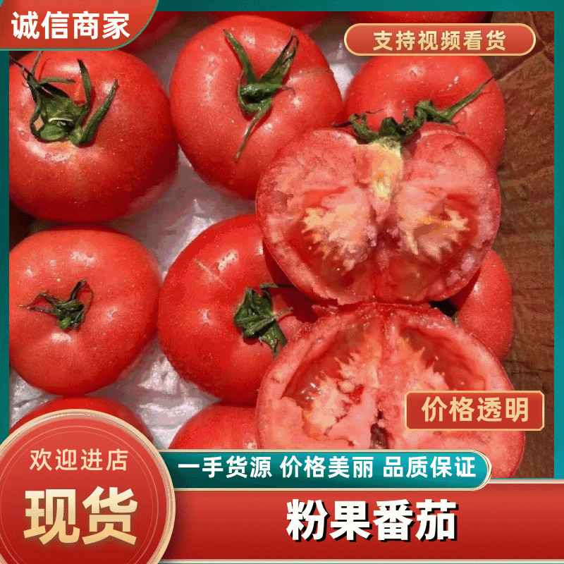 【一件代发】精选粉果大西红柿粉果番茄3斤5斤欢迎老板采购