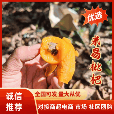 【热卖推荐】四川枇杷大五星枇杷，包邮整箱5斤3斤