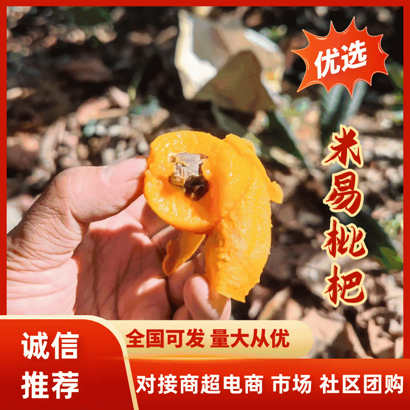 【热卖推荐】四川枇杷大五星枇杷，包邮整箱5斤3斤