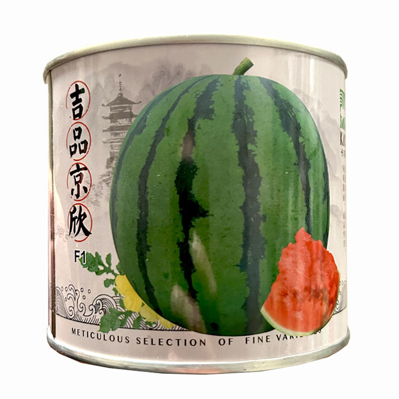 西瓜种子吉品京欣西瓜种子成熟早麒麟甜王西瓜种籽成熟快
