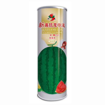 西瓜种子龙卷风墨绿花皮西瓜种籽大果耐旱