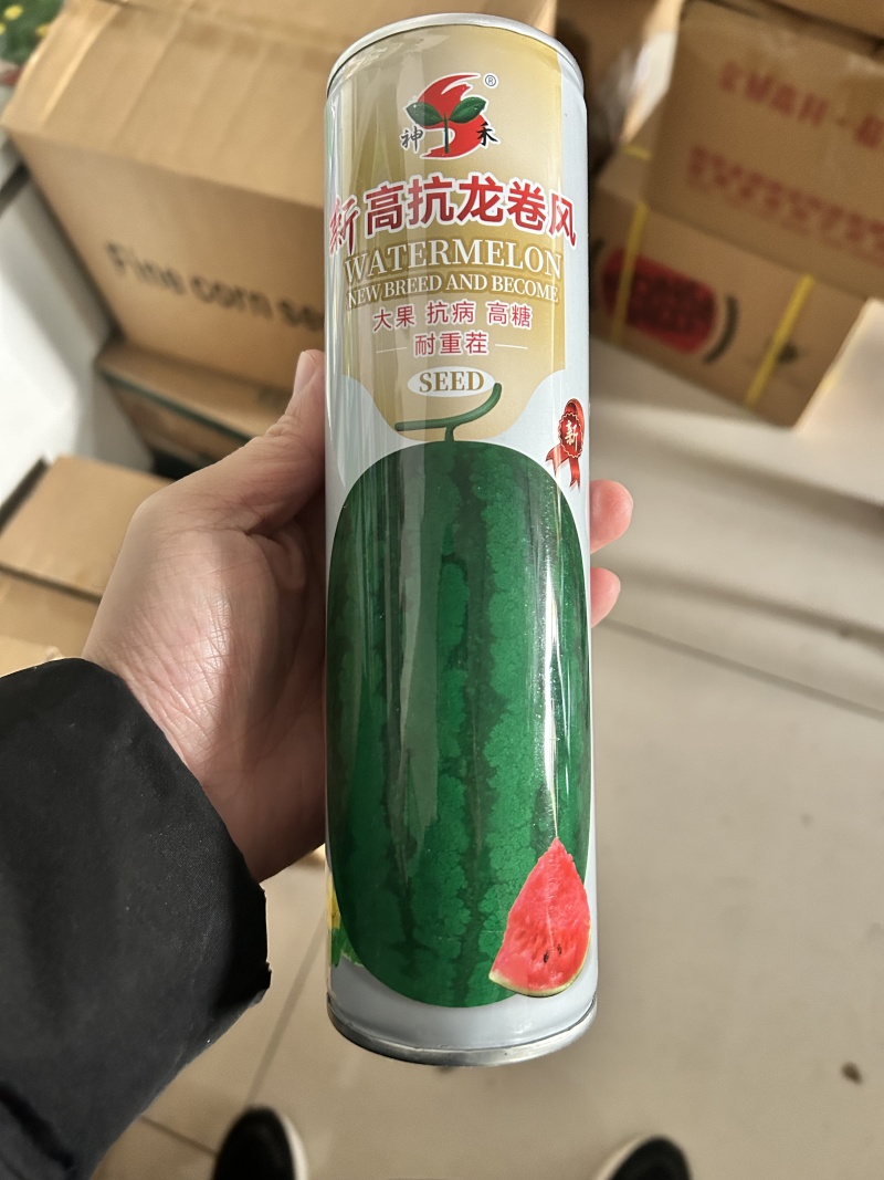 西瓜种子龙卷风墨绿花皮西瓜种籽大果耐旱