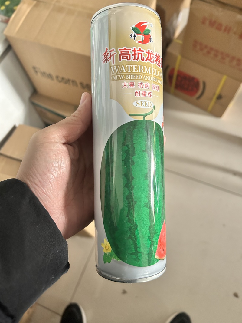 西瓜种子龙卷风墨绿花皮西瓜种籽大果耐旱