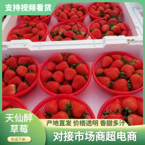 【实力推荐】天仙醉草莓基地供应全国直销量大从优价格低