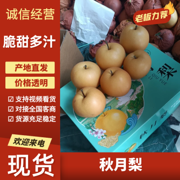 预售精品莱阳秋月梨纯甜化渣原产地直供糖度12个以上