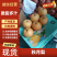 预售精品莱阳秋月梨纯甜化渣原产地直供糖度12个以上