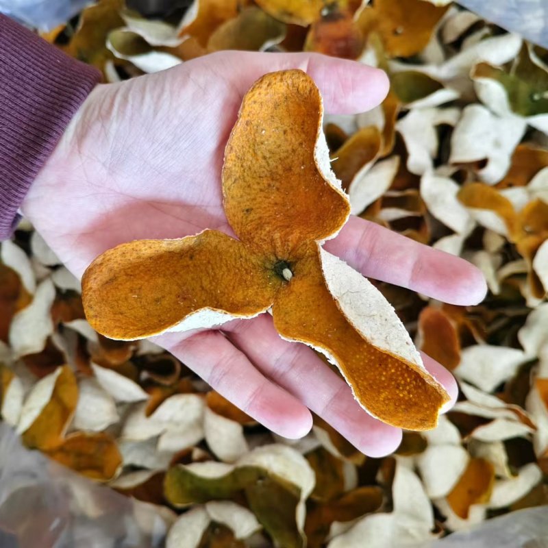 新会陈皮天马梅江特产2024新陈皮茶批发茶枝柑皮陈皮干