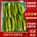 精品高温棚尖椒一手货源视频看货品质保证以质论价