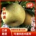 四川翠冠梨苗