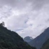 冯震的一亩田店铺