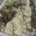 有机花菜现已大量上市质量好欢迎采购