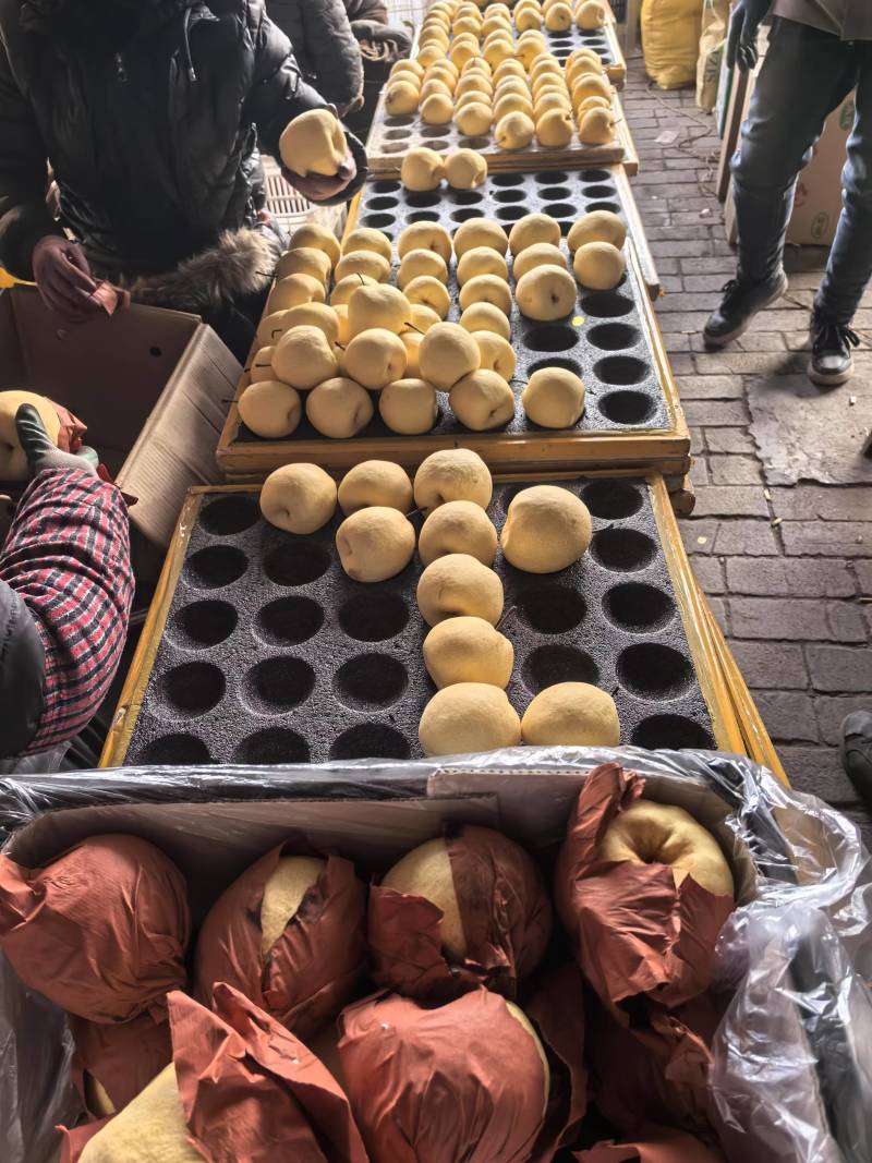 【推荐】山西贡梨量大价优对接全国商超电商可视频看货