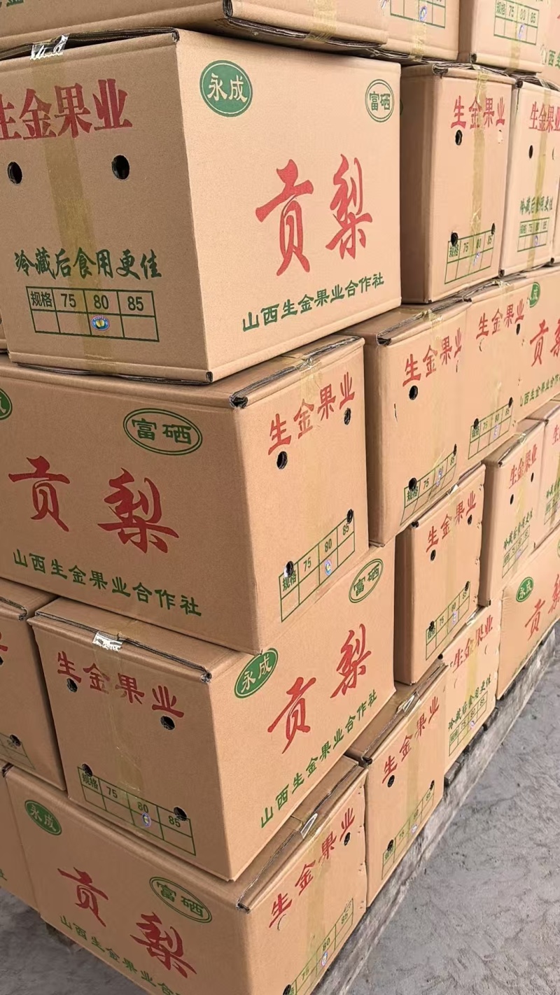【推荐】山西贡梨量大价优对接全国商超电商可视频看货