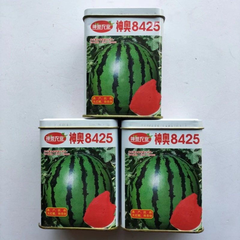 神奥8425西瓜种子果肉红色肉质紧实口感甜脆