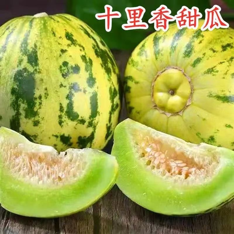 神奥十里香甜瓜种子干瓤肉厚口感香甜味道纯正糖度高