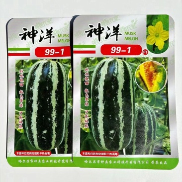 神洋99-1甜瓜种子口感清香酥脆含溏度高皮薄细脆
