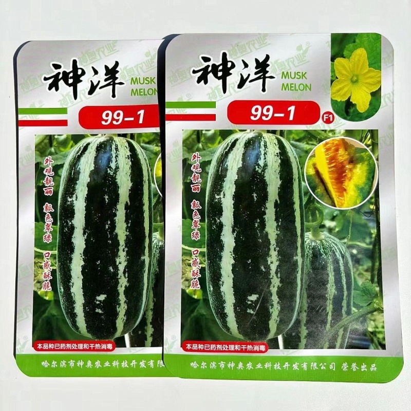 神洋99-1甜瓜种子口感清香酥脆含溏度高皮薄细脆