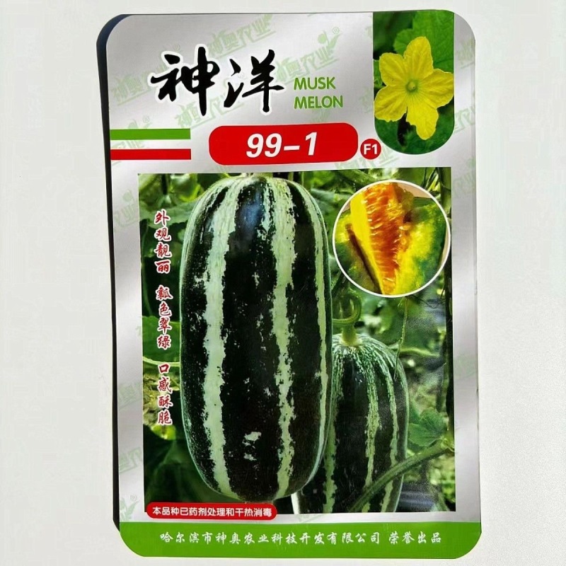 神洋99-1甜瓜种子口感清香酥脆含溏度高皮薄细脆